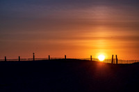 Assateague Island NS