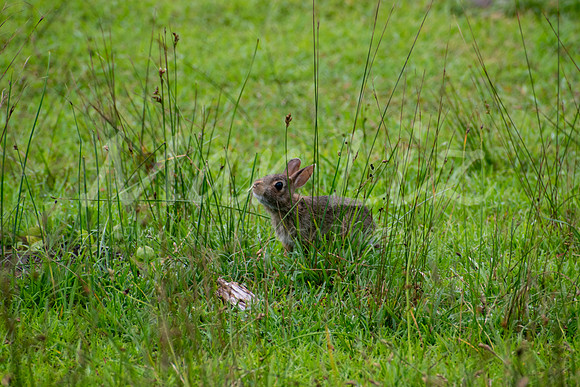DSC_0648