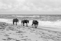 DSC_0674-2